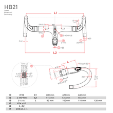 Integrated Handlebar HB21 - Triaero